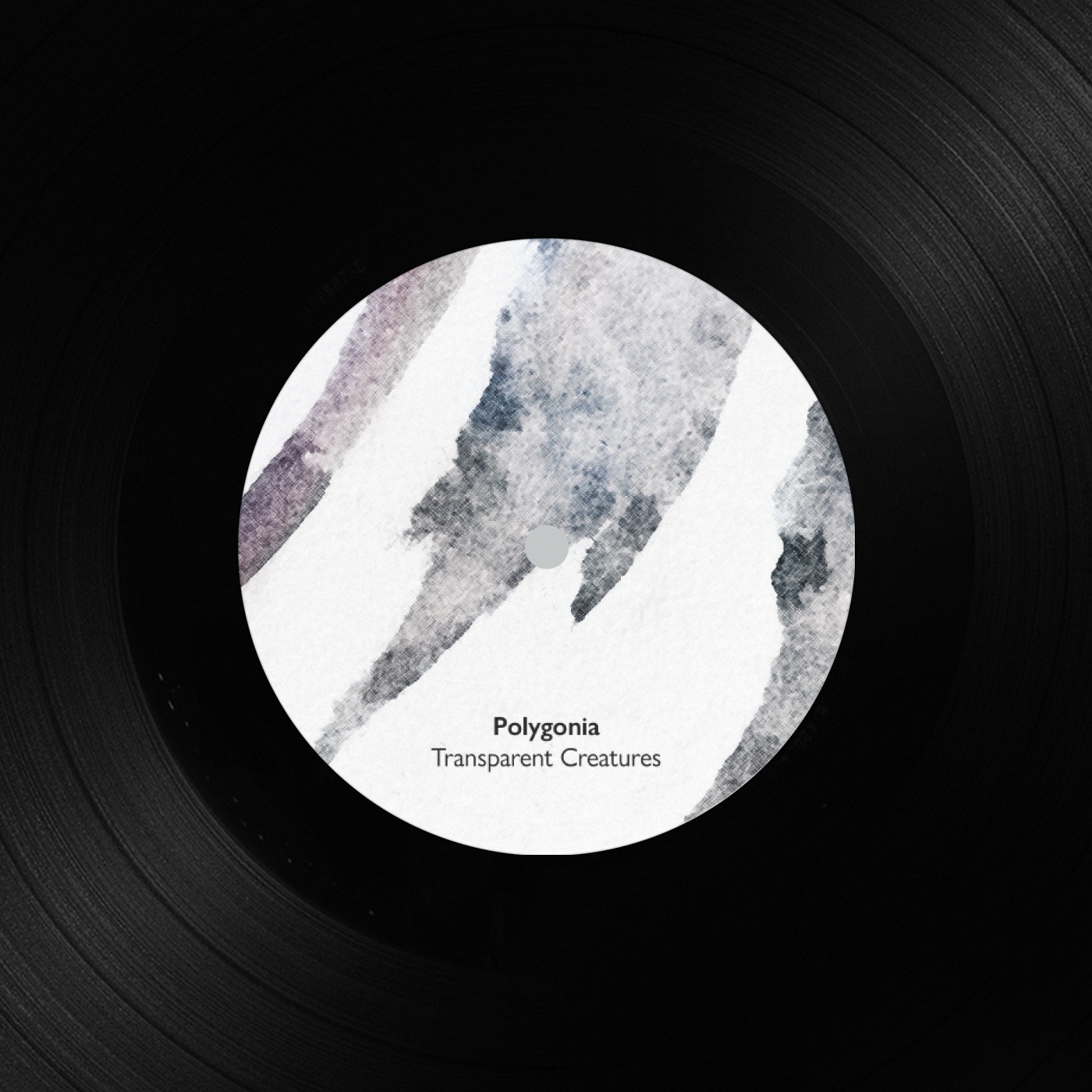 Polygonia · Transparent Creatures